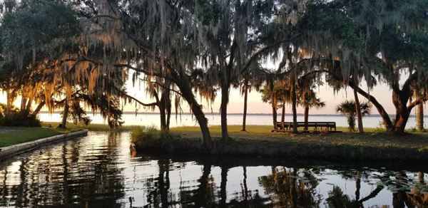 Warren Willis Camp and Conference Center