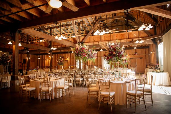 Goodwood Museum & Gardens