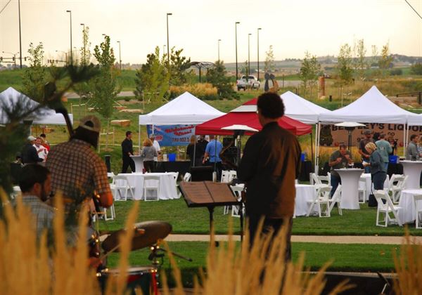 Chapungu Sculpture Park