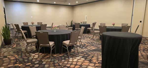 Embassy Suites by Hilton Dallas Love Field