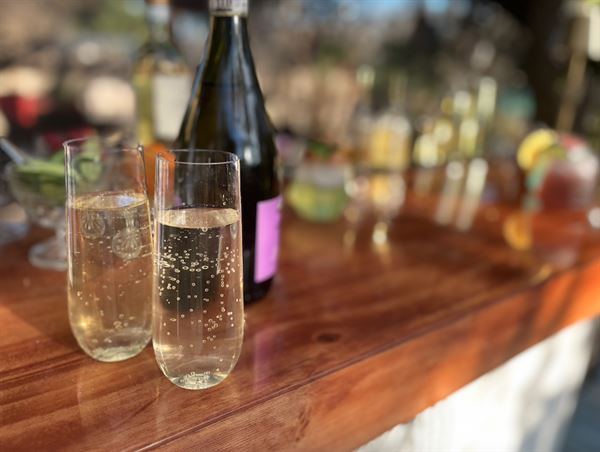 Shake Rattle & Roll Mobile Bar