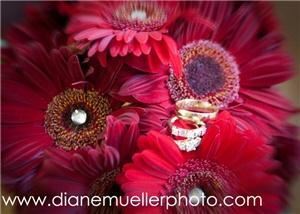 Diane Mueller Photography