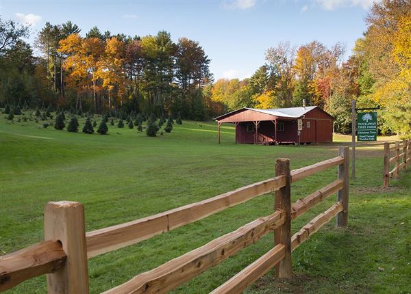 Tuckaway Tree Farm