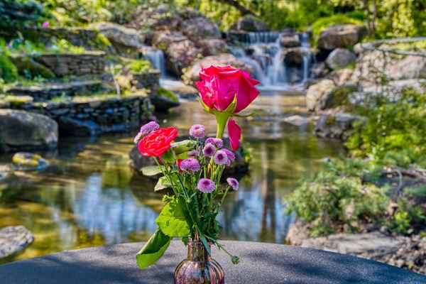 Gilroy Gardens Family Theme Park