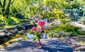 Claudia's Garden Landing