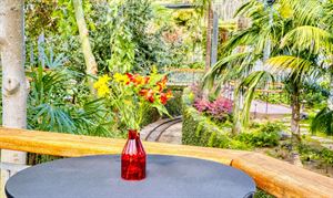 Monarch Garden Atrium