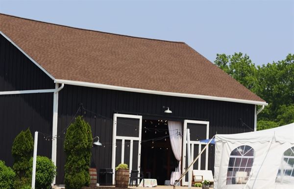Hydrangea Blu Barn