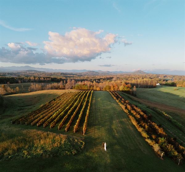 Chattooga Belle Farm