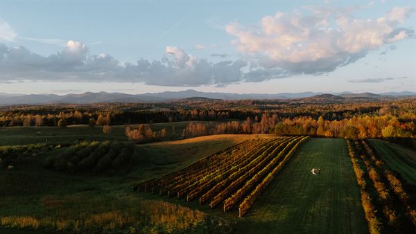 Chattooga Belle Farm