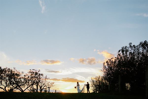 Chattooga Belle Farm