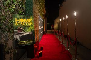 Alley - Step & Repeat