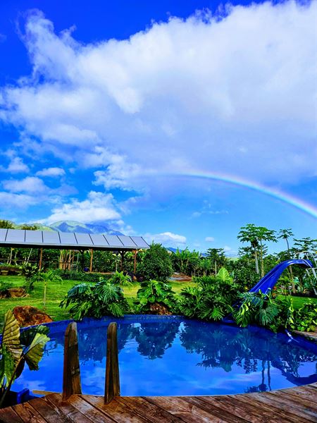 Living Circle Farms Hawaii