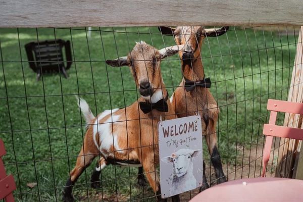 Cock-a-doodle Cottage