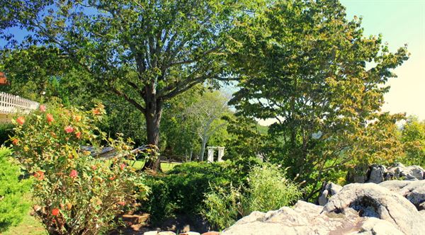 The Secret Bed & Breakfast Lodge