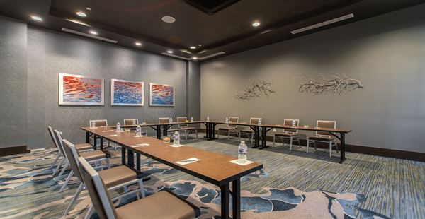 Embassy Suites by Hilton The Woodlands at Hughes Landing