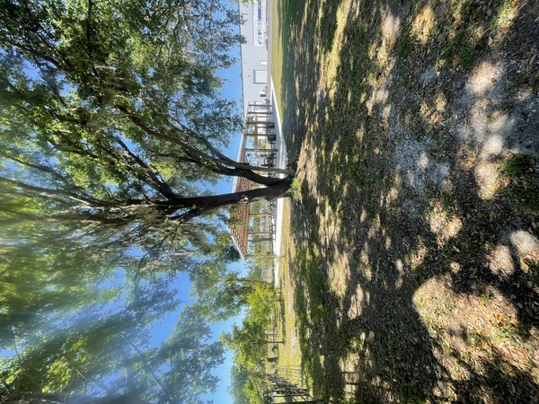 TACO 39 - Eat, Gather, Celebrate