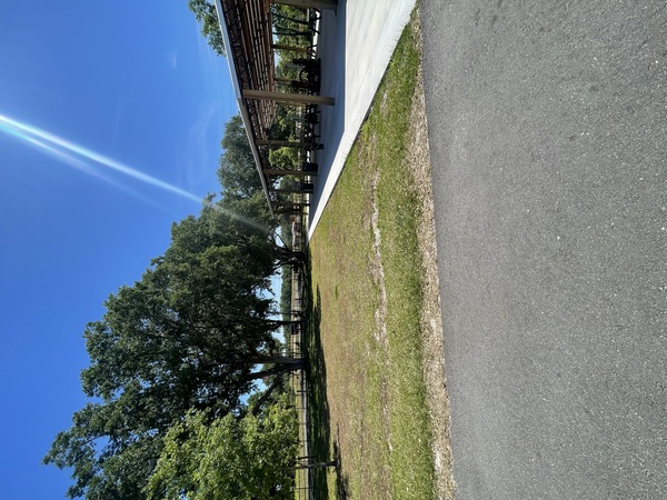 TACO 39 - Eat, Gather, Celebrate