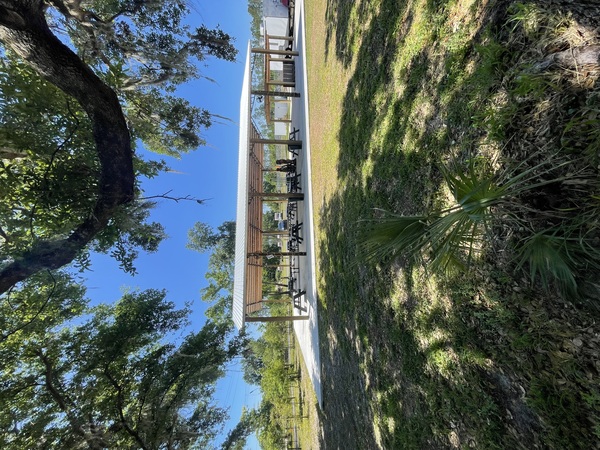 TACO 39 - Eat, Gather, Celebrate