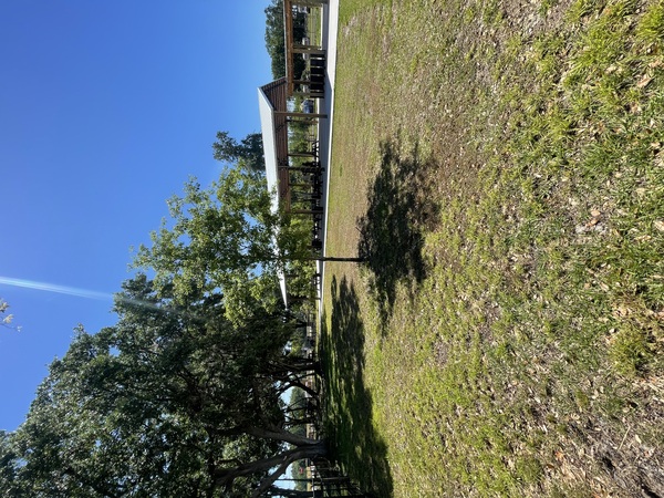 TACO 39 - Eat, Gather, Celebrate