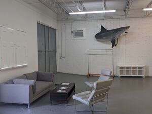 Shark Studio