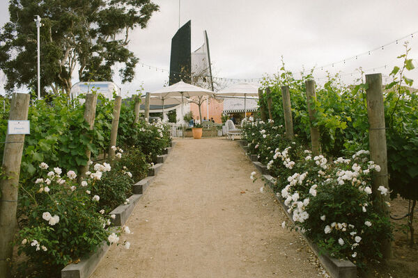 The Mission Bay Beach Club