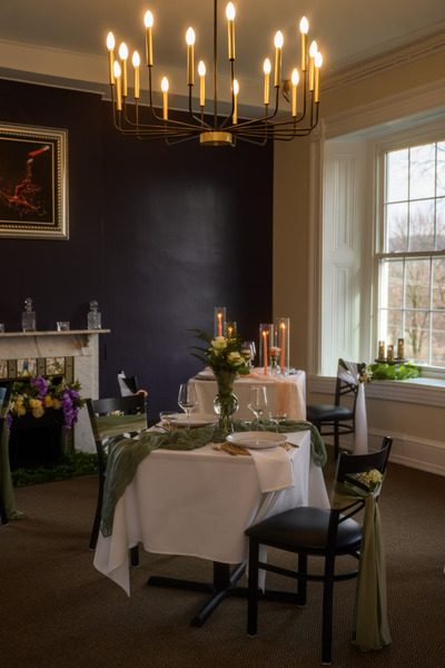 Dragonfly at The James Buchanan Mansion