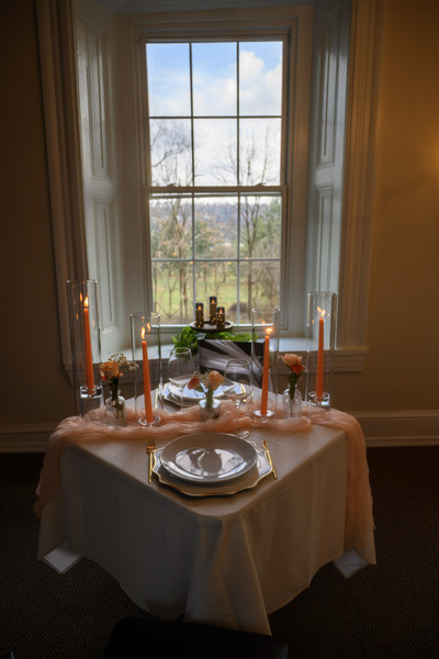 Dragonfly at The James Buchanan Mansion