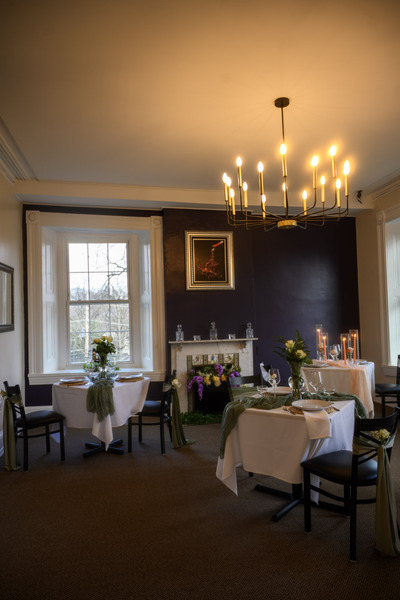 Dragonfly at The James Buchanan Mansion