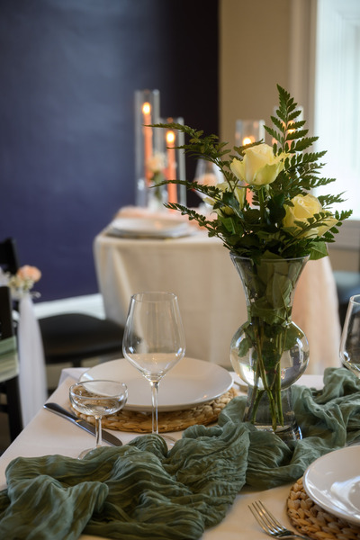 Dragonfly at The James Buchanan Mansion