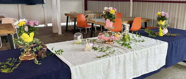 THE PARK AT THE SHINDIG SOCIAL