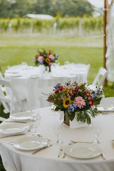 Meadowlark North Fork