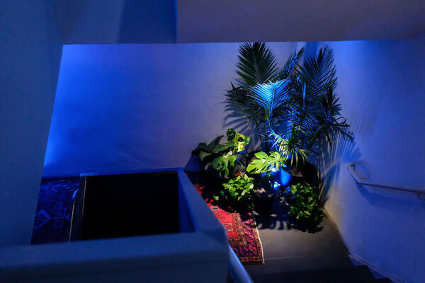 Jungle Truck