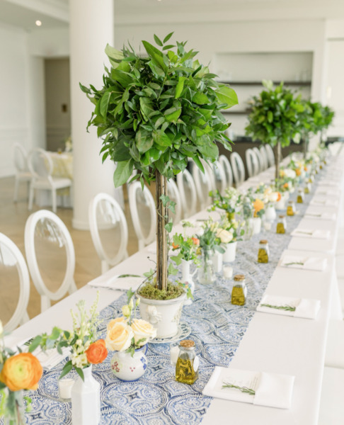 The View at Mount Adams