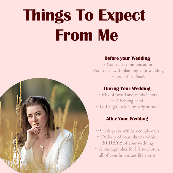 In Nature's Light Photography