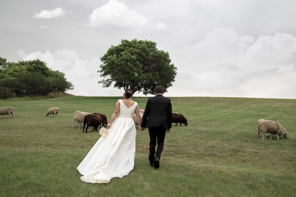 In Nature's Light Photography