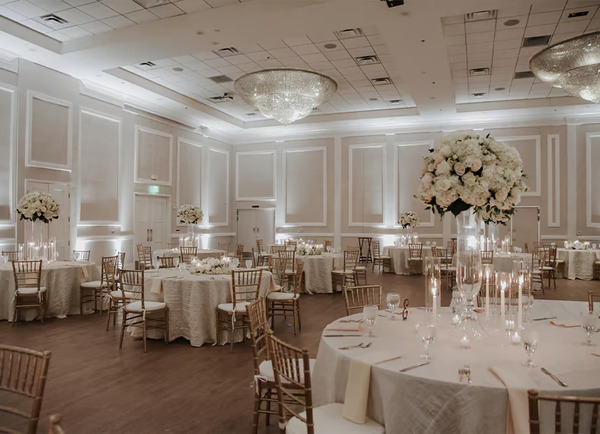 Aristide | Colleyville