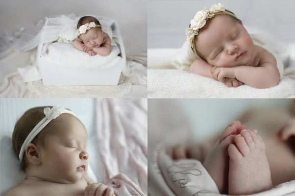 Dawn DePaula Photography