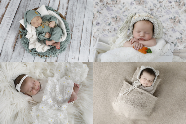 Dawn DePaula Photography