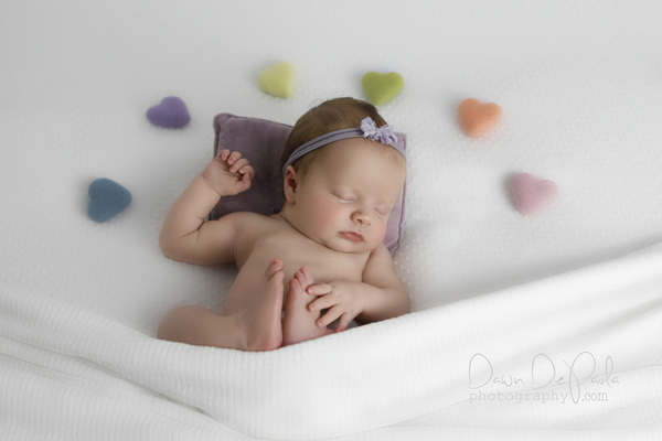 Dawn DePaula Photography