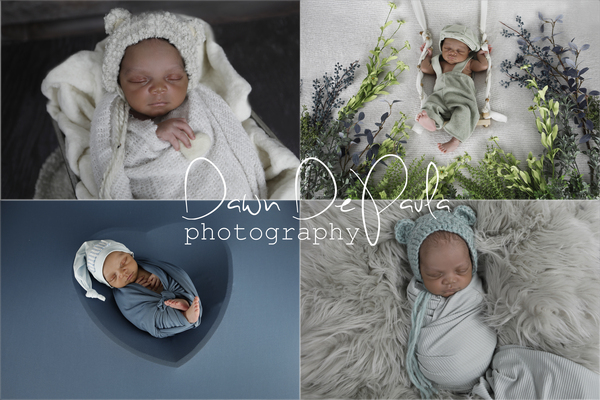 Dawn DePaula Photography