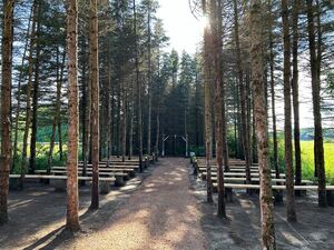 The Pines at Barnwood