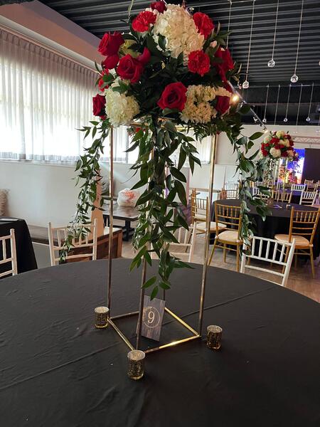 Paradise Party Venue's