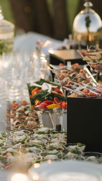 Top of Vine Hospitality