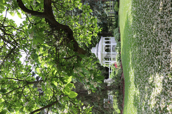 Springfield Golf and Country Club