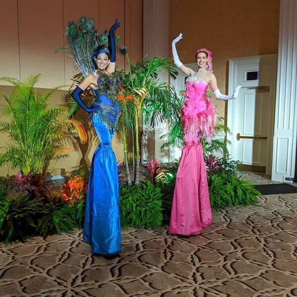 Odd-o-Ts’ Entertainment