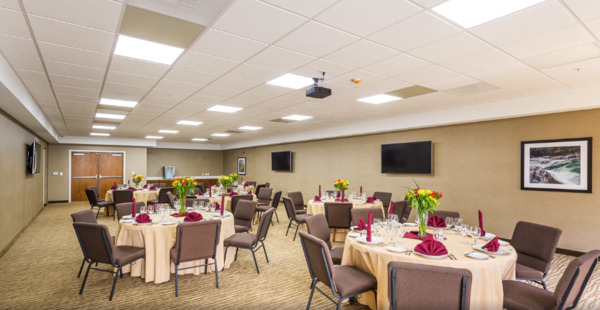 Comfort Suites Piedmont