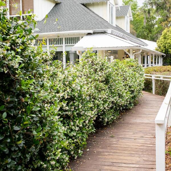 The Hilltop Restaurant