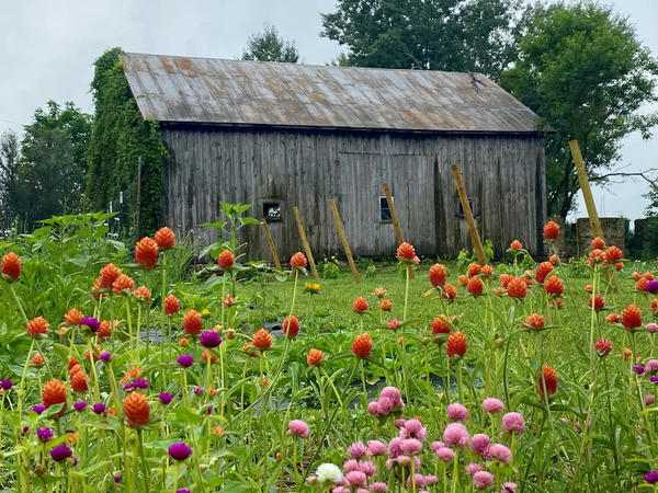 The Pines at Barnwood