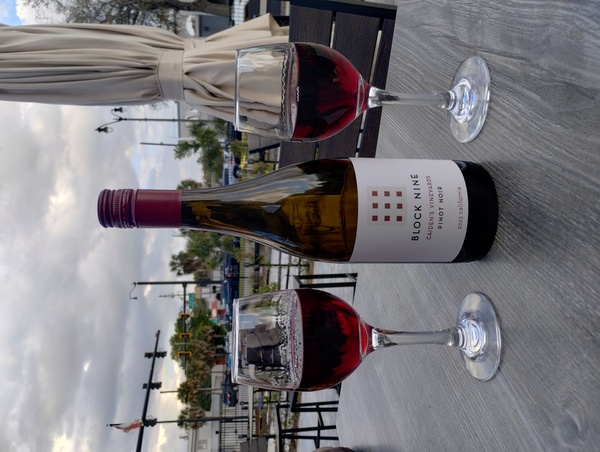 Violet's Venom Brewery at Violet's Garage