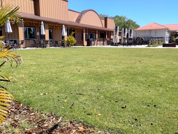 Violet's Venom Brewery at Violet's Garage